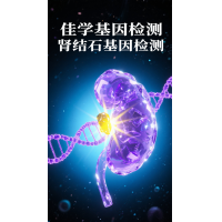 【k8com官网基因检测】肾结石基因检测项目介绍