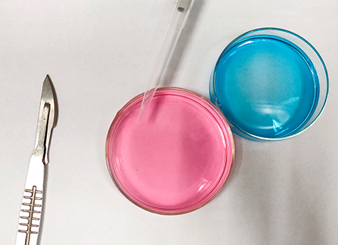 <b>【k8com官网基因解码</b>