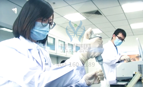 【k8com官网基因检测