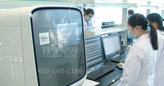 【k8com官网基因检测