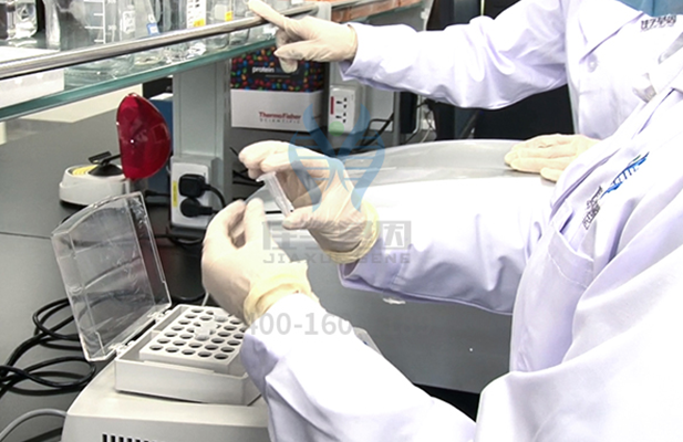 【k8com官网基因-基因