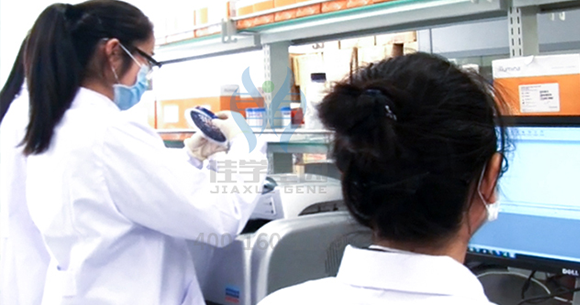 【k8com官网基因检测