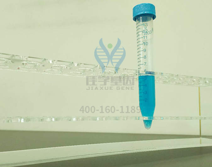 【k8com官网基因检测