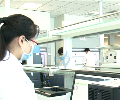 【k8com官网基因检测