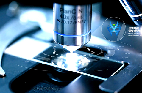 【k8com官网基因-基因