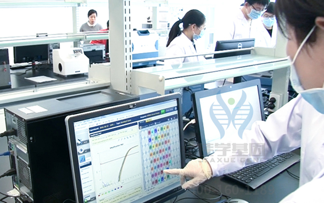 【k8com官网基因检测