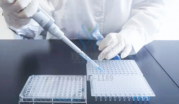 【k8com官网基因检测