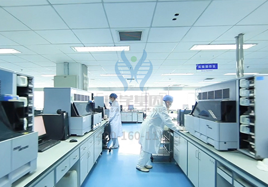 【k8com官网基因检测