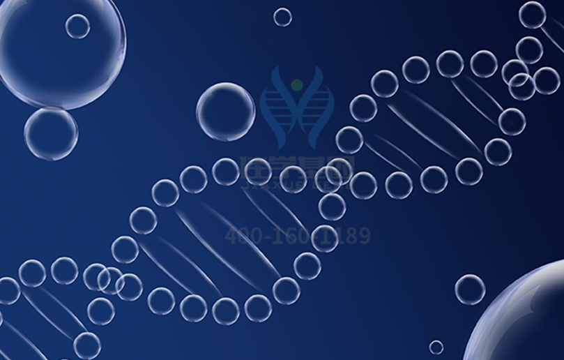 【k8com官网基因-基因检测】弟弟患有肌营养不良，姐姐如何安心孕育？