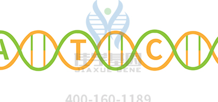 <b><font color='#FF0000'>【k8com官网基因检测</font></b>